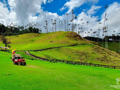 Publicar mi Anuncio Sitio turístico de Colombia el Eje Cafetero Valle Cocora