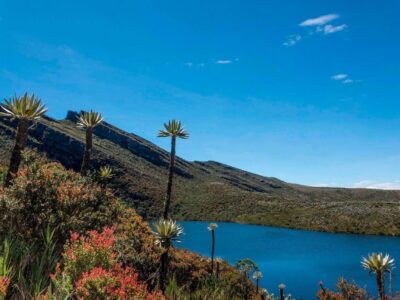 Publicar mi Anuncio Sitio turístico de Colombia el Parque Nacional Natural Chingaza